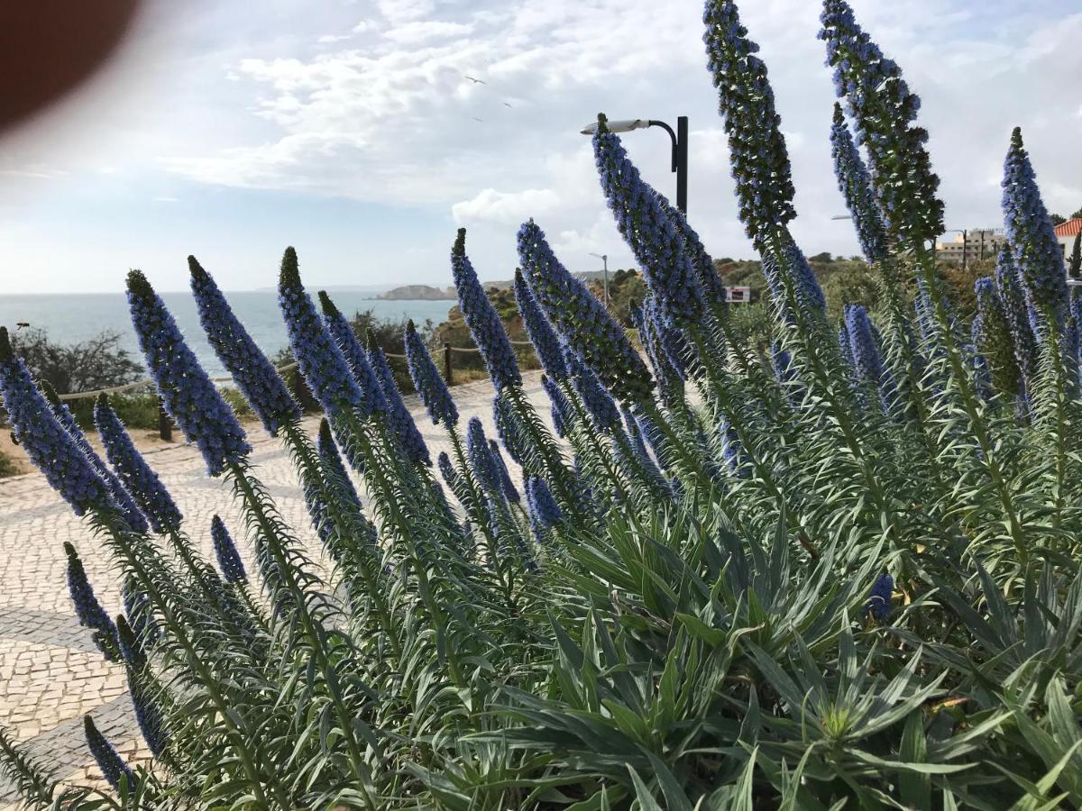 Sol Mar Daire Portimão Dış mekan fotoğraf