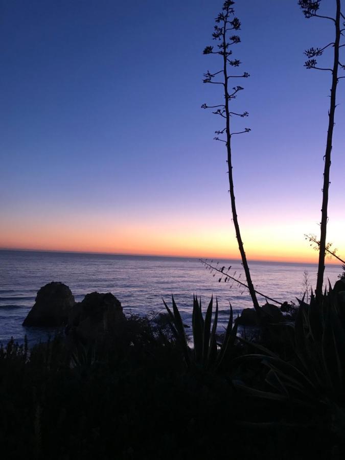 Sol Mar Daire Portimão Dış mekan fotoğraf
